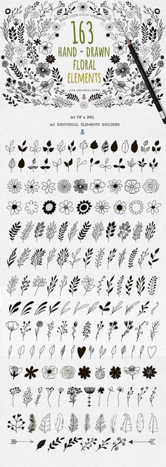 the hand drawn floral elements are shown in black and white