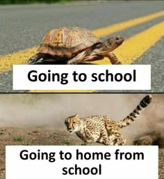 two pictures with words going to school, going to home from school