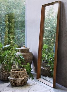 a mirror sitting on top of a table next to plants and potted plants in front of it