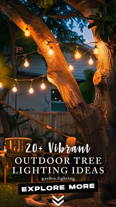 an outdoor tree with lights around it and the words 20 vibrant outdoor tree lighting ideas explore more