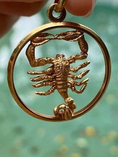 a hand holding a gold pendant with a scorpion in it's center and an ocean background