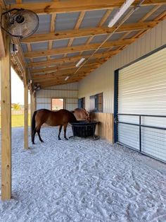 two horses are standing in an enclosed area