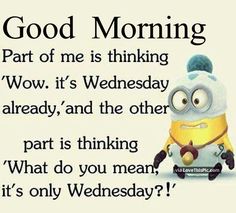 a minion saying good morning with the caption'part of me is thinking wow it's wednesday already, and the other part is thinking