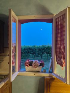 an open window with flowers in the basket on top of it, and a full moon visible through the window