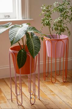 three potted plants sitting next to each other on top of a wooden floor in front of a window