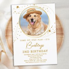 a birthday card with a photo of a dog wearing a cowboy hat and stars on it