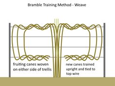 a diagram showing the different types of wires