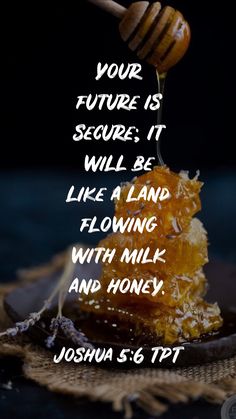 a piece of honey sitting on top of a plate with a quote from joshua s 6 17