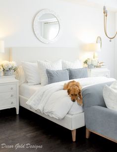 a dog laying on top of a bed in a room with white walls and furniture