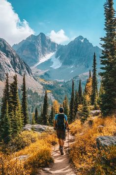 a man hiking up a trail in the mountains with trees and grass on both sides