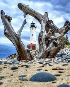 rocks and driftwood on the beach with a lighthouse in the background at low tide