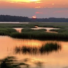 the sun is setting over an marshy area