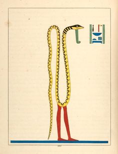 an illustration of a snake with long, yellow and red tentacles on it's neck