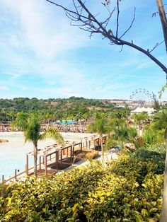 the beach is surrounded by trees and bushes