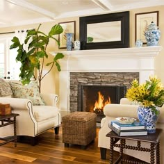 a living room filled with furniture and a fire place next to a fireplace covered in potted plants