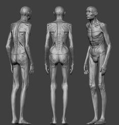 three different views of the human body, including one man's torso and head