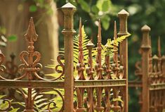 an old iron fence with green plants growing out of it