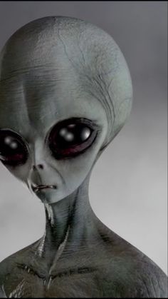 In this video, Unveiled explores the various types of aliens you need to know about! From
classic science fiction to popular depictions, we dive into the most common alien types and their
unique characteristics. Have you ever encountered an alien that matches one of these
descriptions? Alien Types, Types Of Aliens, Alien Videos, Grey Alien, Unique Characteristics, Have You Ever, Aliens, Science Fiction, Sci Fi