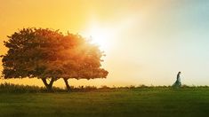 a woman standing under a tree on top of a lush green field