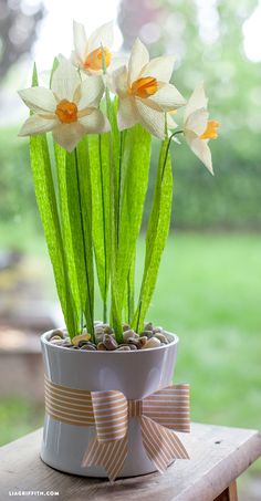 some flowers are in a pot on a table