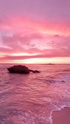 pink and purple sunset over the ocean with birds flying overhead