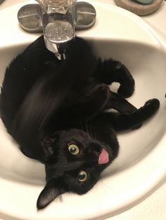 a black cat laying in a bathroom sink