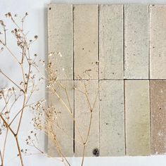 some plants are sitting on the floor next to different colors of concrete blocks and tiles