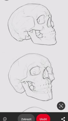 three different types of skulls are shown in this screenshoter's phone screen