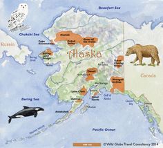 an illustrated map of alaska with animals and places labeled in orange, green, blue, and white