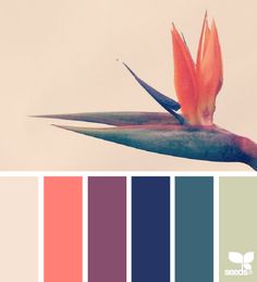 a bird of paradise flower is shown in this color palette with the same hues