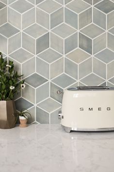 a toaster sitting on top of a counter next to a potted plant