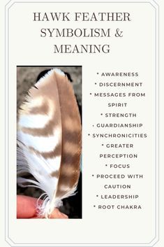 a hand holding a feather with the words hawk feathers, symbolism and meaning on it