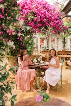 Fashion Blogger Photography, Petersham Nurseries, Gal Meets Glam Collection, Julia Berolzheimer, Garden Coffee, Blogger Photography, Montage Photo, Gal Meets Glam, Bougainvillea