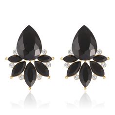 PRICES MAY VARY. ☑️Fancy Cluster Earrings Design☑️The large black crystal stud at the top of each earring enhances their eye-catching appeal, creating a striking focal point that complements your style.These exquisite drop earrings feature a captivating cluster of sparkling crystal rhinestones, adding a touch of glamour and elegance to any outfit. ☑️Hypoallergenic Material☑️Crafted with utmost care, these dainty black rhinestone earrings are free from nickel and lead, making them safe for sensit Formal Birthday Party, Black Crystal Earrings, Black Drop Earrings, Bridal Earrings Drop, Earrings Design, Prom Formal, Earrings Elegant, Crystal Drop Earrings, Black Earrings