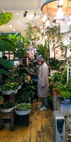 a person standing in a room filled with lots of plants