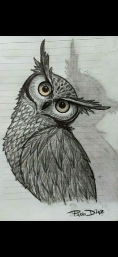 a pencil drawing of an owl with big eyes