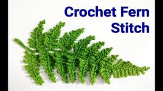 crochet fern stitch pattern with the words crochet fern stitch on it