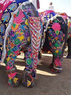 colorfully decorated elephants are lined up on the street