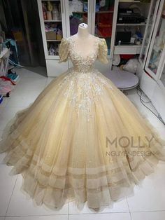 Our beautiful dress has make with sparkly fabric , tulle mesh , lace and beads Dress not including hoops skirt OUr shipping will delivery to you within 1 week Dress in Stock which if you have the same measurements we can ship out directly    Bust : 32inch - 34inch ( 82cm - 87cm )   Waist : 24inch - 27inch ( 61cm - 69cm )You can order custom size and colour!!For the measurements please check the picture chart guide above :The numbers is need for the measurement is : 1,5,7,9,10,11,12,13,24,26,32, Lace And Beads Dress, Fairytale Ballgown, Gold Ballgown, Silver Glitter Dress, Silver Sparkly Dress, Beads Dress, Ballgown Dress, Lace And Beads, Sparkly Fabric