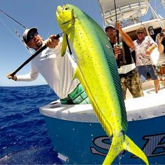 a man holding a large yellow fish while on a boat with other people in the background