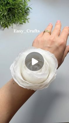 a woman's hand holding a white flower on her wrist