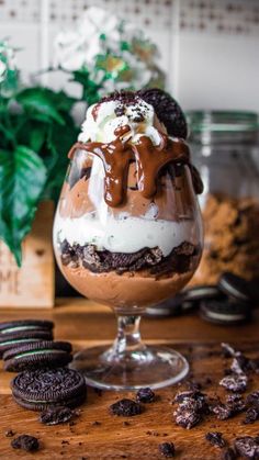 an ice cream sundae with oreo cookies on the side and a potted plant in the background