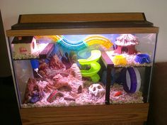 a fish tank filled with lots of different types of items