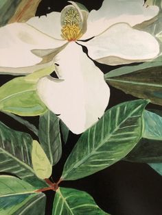 a painting of a white flower with green leaves in the foreground and black background