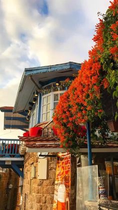 an orange fire hydrant in front of a house with flowers growing on the roof