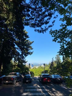 cars parked on the side of a road next to trees