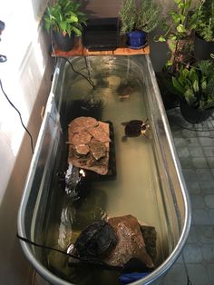 a tub filled with water and rocks in the middle of a tiled floored room