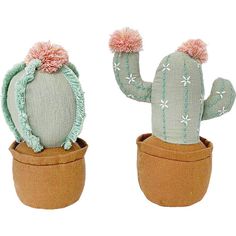 two small cactus plants with pink pom - poms