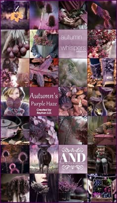 Aubergine Color Palette, Autumn Collage, Purple Autumn, Collage Photography, Photography Moodboard, Combination Color, Paint Inspiration, Beautiful Weekend, Color Schemes Colour Palettes