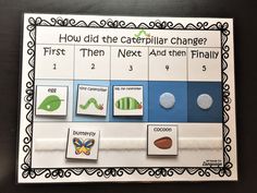 a close up of a bulletin board with different things on it and the words how did the caterpillar change?